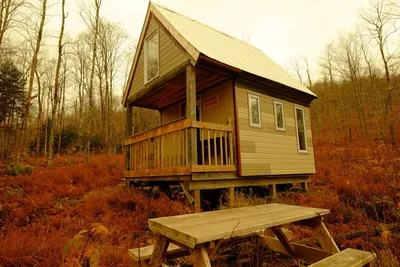 Refuge en forêt